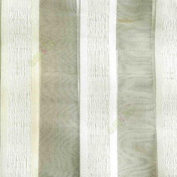 Gold white color vertical bold stripes with texture transparent surface with stripe border lace design vertical lines sheer fabric