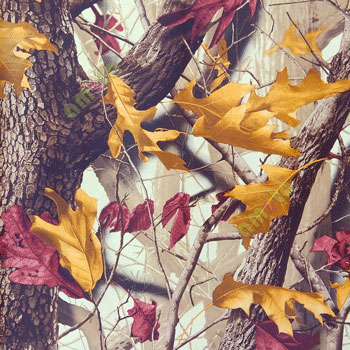 Real Big tree in the jungle and falling leaf yellow purple color maple leaves with matured rough skin tree bark wallpaper