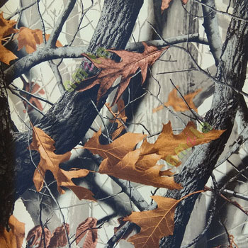 Real black and white Big tree in the jungle and falling leaf brown yellow color maple leaves with matured rough skin tree bark wallpaper