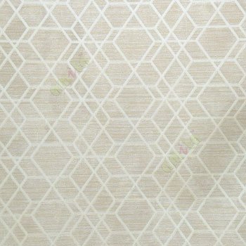 Brown beige gold color abstract design diamond shaped geometric patterns texture background carved lines wallpaper