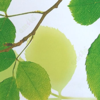 Natural green white yellow color beautiful leaf twig pattern texture finished elegant look butterfly reflect shadow water wave roller blind