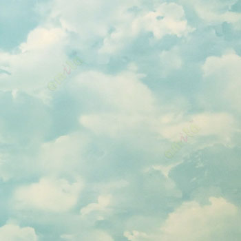Blue white color sky clouds sunny day elegant look ceiling decorative texture surface oil painting home décor wallpaper