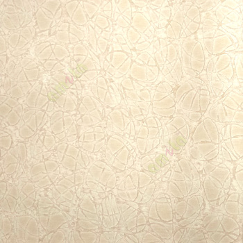 Beige gold color abstract designs circles connecting tissues texture finished horizontal lines home décor wallpaper