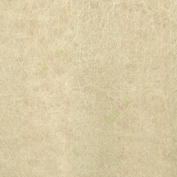 Gold color complete texture thin line circle layers horizontal lines vertical bold color shade stipes home décor wallpaper