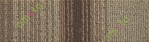 Office carpet 110113
