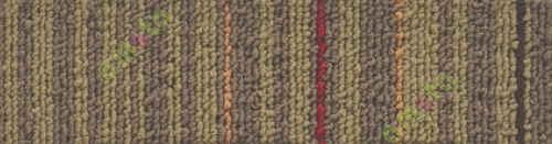 Office carpet 110115