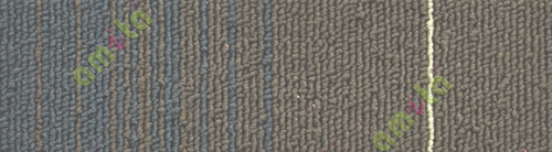 Office carpet 110120