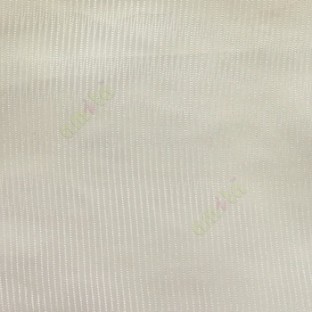 Green color vertical thin stripes texture finished transparent net finished soft feel lightweight sheer fabric