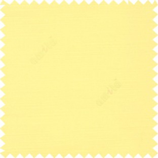 Light yellow color slub art silk solids complete plain surface designless horizontal lines embossed pattern with polyester main curtain