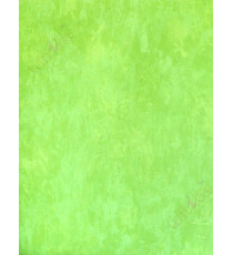 Parrot green colour solid texture plain wallpaper