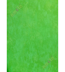 Parrot green colour solid texture plain wallpaper
