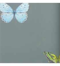 Grey green black brown blue color beautiful butterfly texture finished single patterns home décor wallpaper