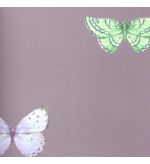 Purple green black brown color beautiful butterfly texture finished single patterns home décor wallpaper