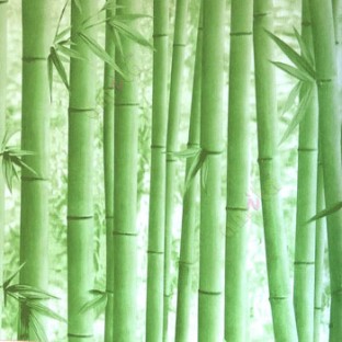 Contemporary look natural green beige black color bamboo with small baby leaf texture background wallpaper