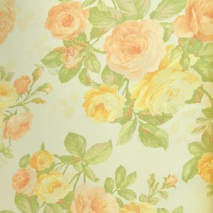Pink yellow color beautiful rose with green color small rose buds and green leaf with white background wallpaper