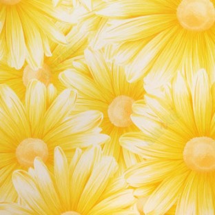 Awesome big beautiful flower looks like real 3D pattern yellow and white combination color of daisy flower wallpaper