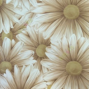 Awesome big beautiful flower looks like real 3D pattern brown beige white combination color of daisy flower wallpaper