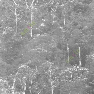 Grey black white dense forest with small small long height trees with big amount of leafy pattern with its tree wallpaper