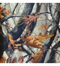 Real black and white Big tree in the jungle and falling leaf brown yellow color maple leaves with matured rough skin tree bark wallpaper