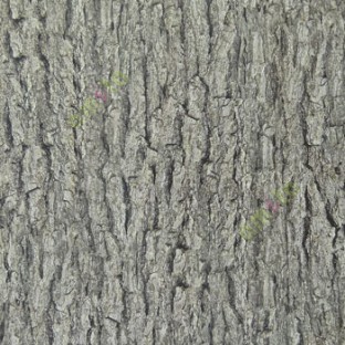 Matured black and white big old tree rough skin tree bark pattern seamless pattern wallpaper