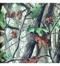 Real black brown grey cream color Big tree in the jungle and falling leaf green brown color maple leaves with matured rough skin tree bark wallpaper