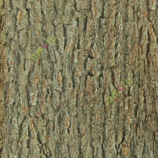 Matured black brown cream big old tree rough skin tree bark pattern seamless pattern wallpaper