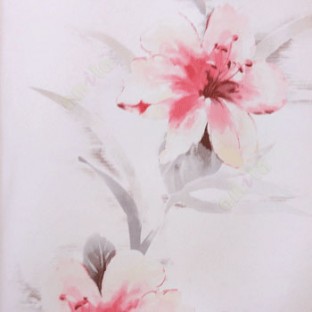 Pink grey white color beautiful hippeastrum flower pattern looks pleasant in long stem and petals wallpaper