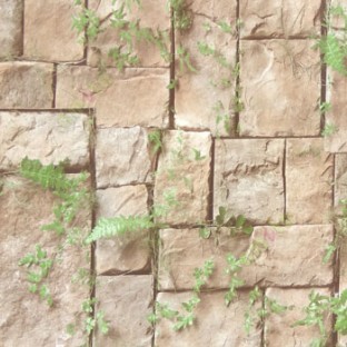 Brown green cream color natural stone green grass ferns cynodon dactylon grass herbs mushroom wall cladding home décor wallpaper