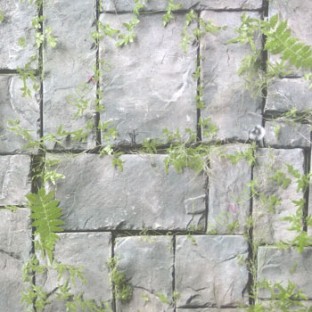 Grey green black color natural stone green grass ferns cynodon dactylon grass herbs mushroom wall cladding home décor wallpaper